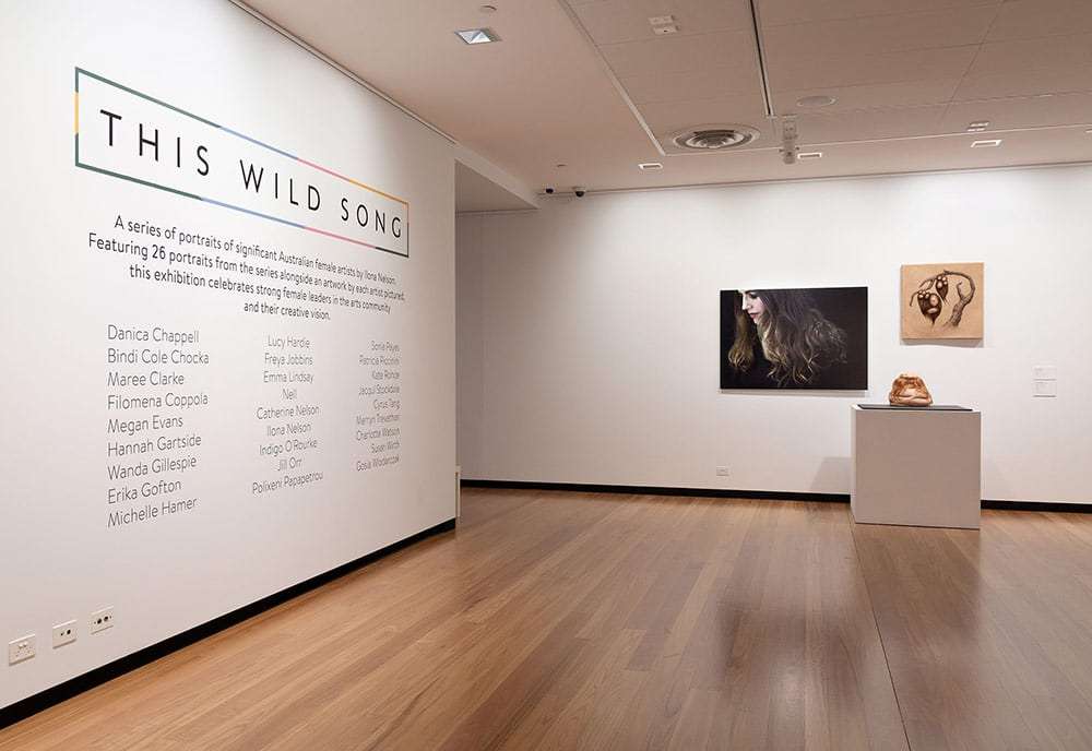 This Wild Song exhibition at Town Hall Gallery - install shots.